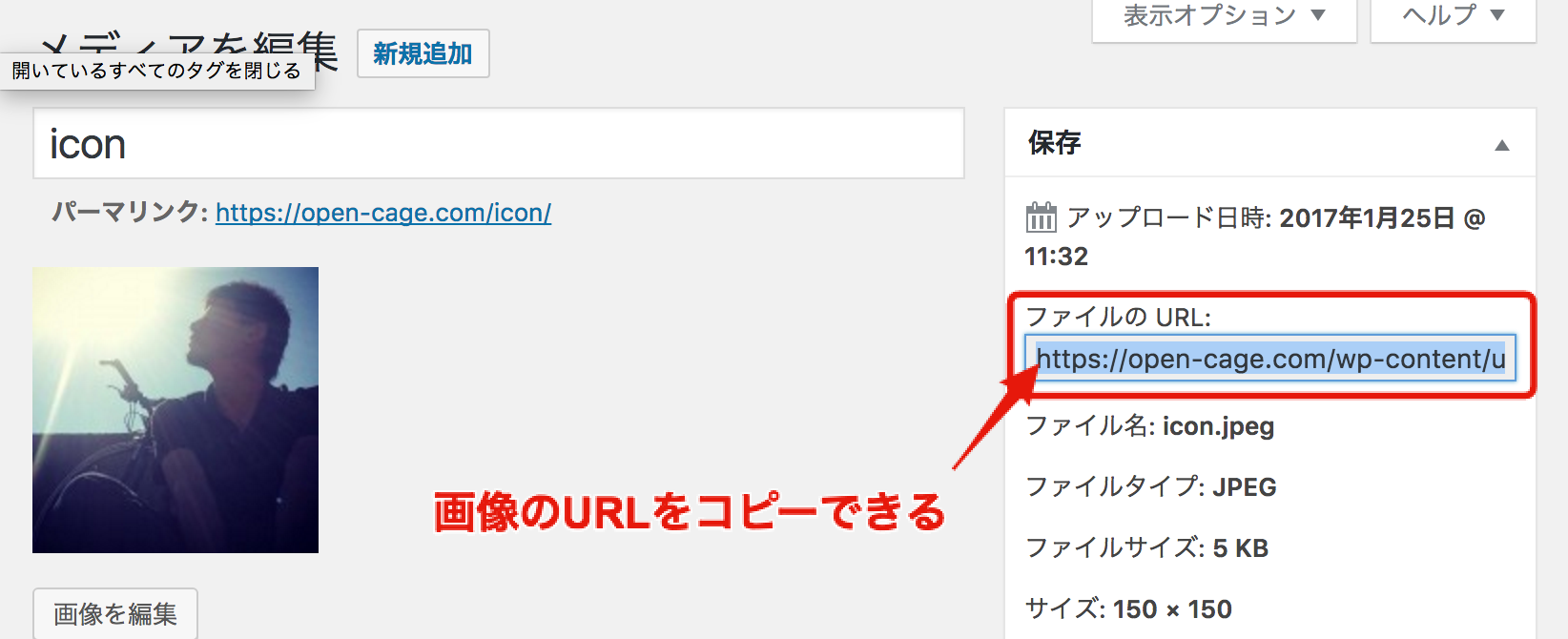 Wordpressで画像のurlを取得 コピー 確認する方法 Opencage