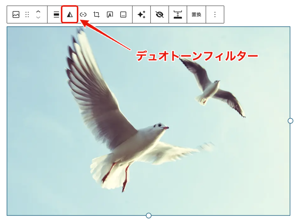 デュオトーンフィルターを適用